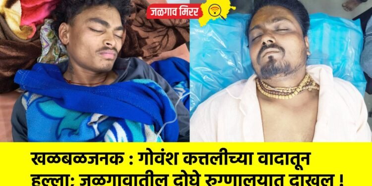 खळबळजनक : गोवंश कत्तलीच्या वादातून हल्ला; जळगावातील दोघे रुग्णालयात दाखल !