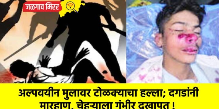 अल्पवयीन मुलावर टोळक्याचा हल्ला; दगडांनी मारहाण, चेहऱ्याला गंभीर दुखापत !