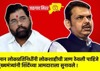 किमान लोकप्रतिनिधींनी लोकशाहीची जाण ठेवली पाहिजे ; मुख्यमंत्र्यांनी शिंदेंच्या आमदाराला सुनावले !