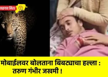मोबाईलवर बोलताना बिबट्याचा हल्ला : तरुण गंभीर जखमी !