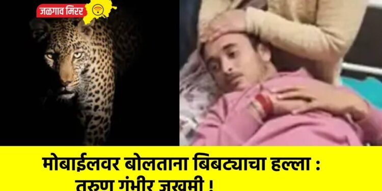 मोबाईलवर बोलताना बिबट्याचा हल्ला : तरुण गंभीर जखमी !