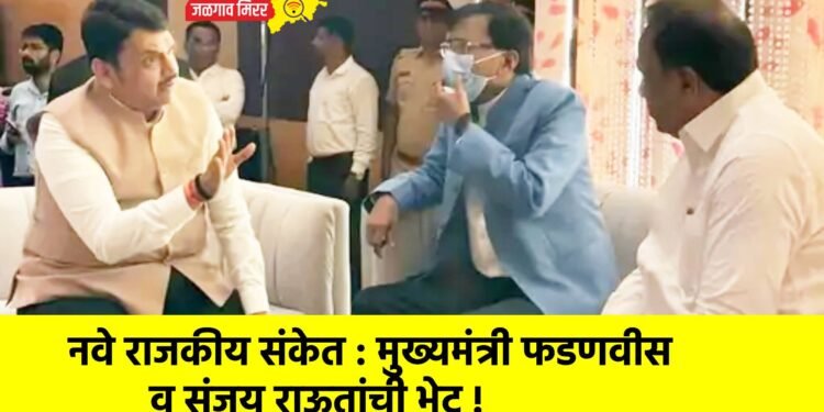 नवे राजकीय संकेत : मुख्यमंत्री फडणवीस व संजय राऊतांची भेट !
