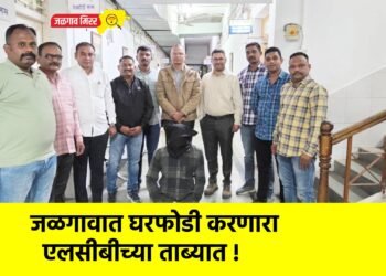 जळगावात घरफोडी करणारा एलसीबीच्या ताब्यात !