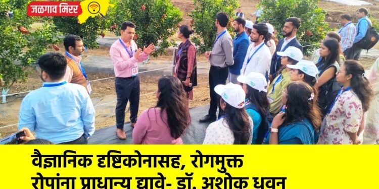 वैज्ञानिक दृष्टिकोनासह, रोगमुक्त रोपांना प्राधान्य द्यावे- डॉ. अशोक धवन