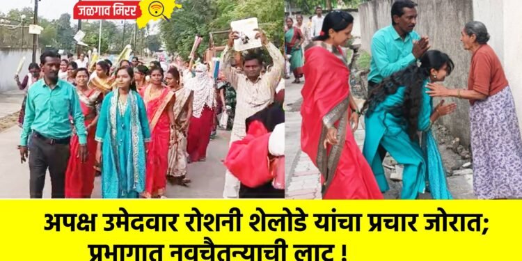 अपक्ष उमेदवार रोशनी शेलोडे यांचा प्रचार जोरात; प्रभागात नवचैतन्याची लाट !