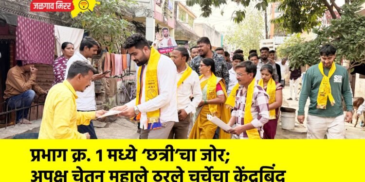 प्रभाग क्र. १ मध्ये ‘छत्री’चा जोर; अपक्ष चेतन महाले ठरले चर्चेचा केंद्रबिंदू