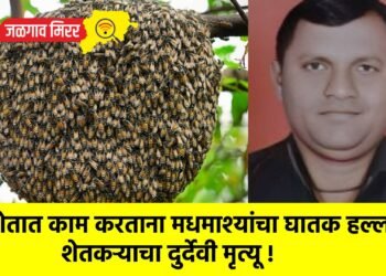 शेतात काम करताना मधमाश्यांचा घातक हल्ला; शेतकऱ्याचा दुर्देवी मृत्यू !