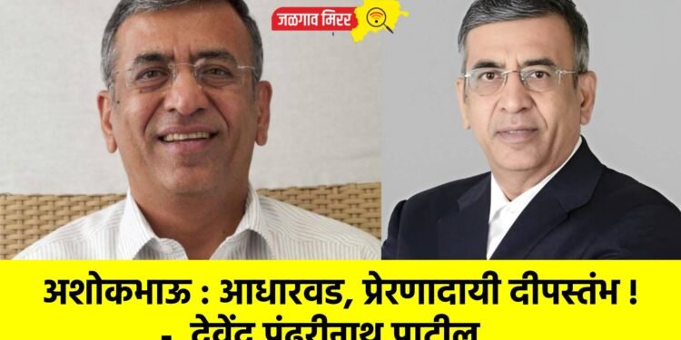 अशोकभाऊ : आधारवड, प्रेरणादायी दीपस्तंभ !