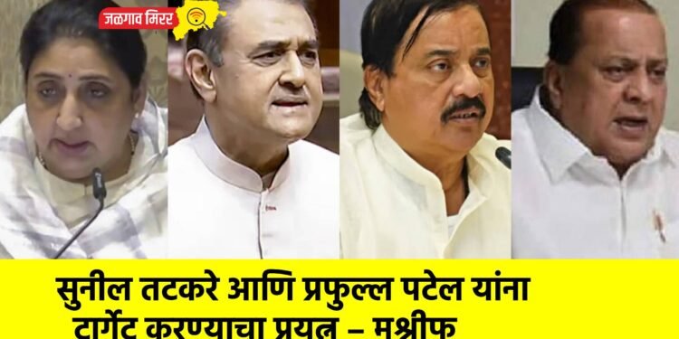 सुनील तटकरे आणि प्रफुल्ल पटेल यांना टार्गेट करण्याचा प्रयत्न – मुश्रीफ