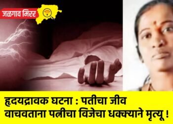 हृदयद्रावक घटना : पतीचा जीव वाचवताना पत्नीचा विजेचा धक्क्याने मृत्यू !