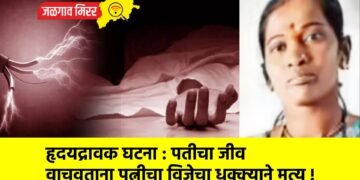 हृदयद्रावक घटना : पतीचा जीव वाचवताना पत्नीचा विजेचा धक्क्याने मृत्यू !