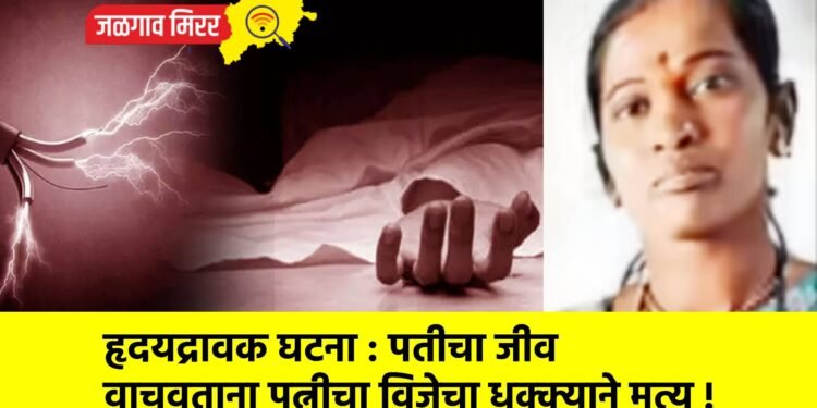हृदयद्रावक घटना : पतीचा जीव वाचवताना पत्नीचा विजेचा धक्क्याने मृत्यू !