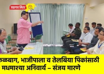 फळबाग, भाजीपाला व तेलबिया पिकांसाठी मधमाश्या अनिवार्य – संजय मारणे