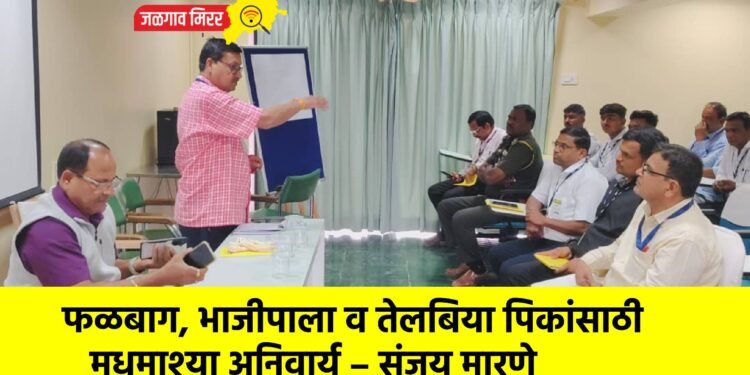 फळबाग, भाजीपाला व तेलबिया पिकांसाठी मधमाश्या अनिवार्य – संजय मारणे