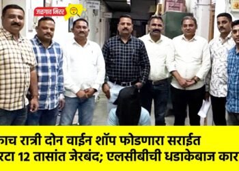 एकाच रात्री दोन वाईन शॉप फोडणारा सराईत चोरटा १२ तासांत जेरबंद; एलसीबीची धडाकेबाज कारवाई