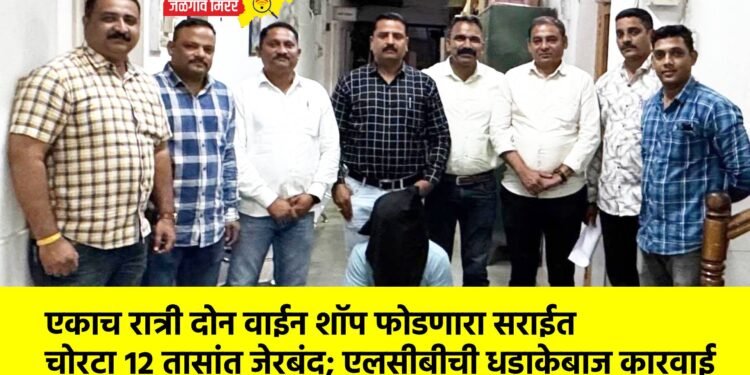 एकाच रात्री दोन वाईन शॉप फोडणारा सराईत चोरटा १२ तासांत जेरबंद; एलसीबीची धडाकेबाज कारवाई