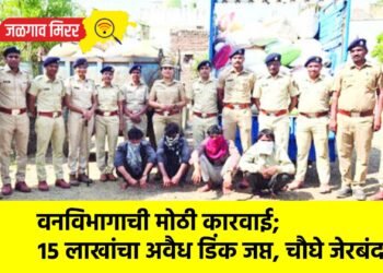 वनविभागाची मोठी कारवाई; १५ लाखांचा अवैध डिंक जप्त, चौघे जेरबंद !