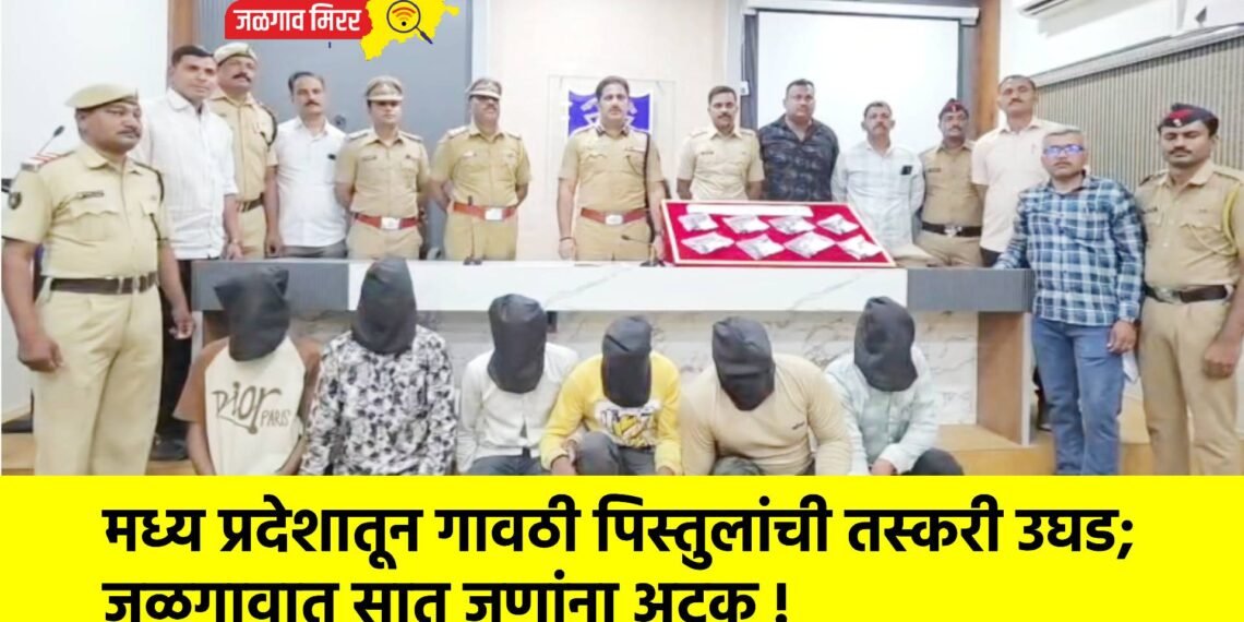 मध्य प्रदेशातून गावठी पिस्तुलांची तस्करी उघड; जळगावात सात जणांना अटक !