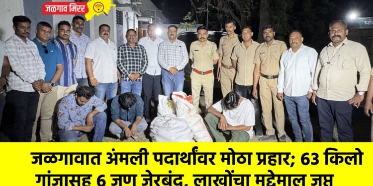 जळगावात अंमली पदार्थांवर मोठा प्रहार; ६३ किलो गांजासह ६ जण जेरबंद, लाखोंचा मुद्देमाल जप्त