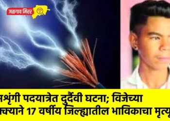 सप्तशृंगी पदयात्रेत दुर्दैवी घटना; विजेच्या धक्क्याने १७ वर्षीय जिल्ह्यातील भाविकाचा मृत्यू !