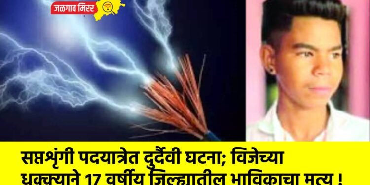 सप्तशृंगी पदयात्रेत दुर्दैवी घटना; विजेच्या धक्क्याने १७ वर्षीय जिल्ह्यातील भाविकाचा मृत्यू !