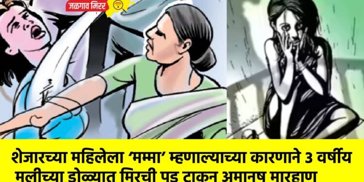शेजारच्या महिलेला ‘मम्मा’ म्हणाल्याच्या कारणाने ३ वर्षीय मुलीच्या डोळ्यात मिरची पूड टाकून अमानुष मारहाण