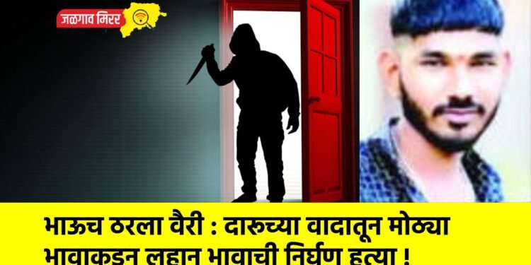 भाऊच ठरला वैरी : दारूच्या वादातून मोठ्या भावाकडून लहान भावाची निर्घृण हत्या !