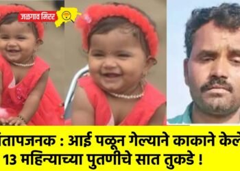 संतापजनक : आई पळून गेल्याने काकाने केले १३ महिन्याच्या पुतणीचे सात तुकडे !
