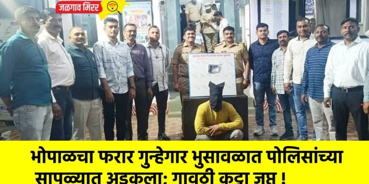 भोपाळचा फरार गुन्हेगार भुसावळात पोलिसांच्या सापळ्यात अडकला; गावठी कट्टा जप्त !