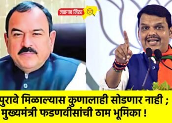 पुरावे मिळाल्यास कुणालाही सोडणार नाही ; मुख्यमंत्री फडणवीसांची ठाम भूमिका !