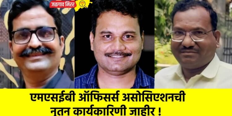 एमएसईबी ऑफिसर्स असोसिएशनची नूतन कार्यकारिणी जाहीर !