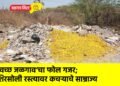 स्वच्छ जळगाव’चा फोल गजर; शिरसोली रस्त्यावर कचऱ्याचे साम्राज्य