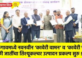 जळगावमध्ये नवनवीन ‘कावेरी वामन’ व ‘कावेरी पूवन’ केळी जातींचा तिश्यूकल्चर उत्पादन प्रकल्प सुरु !