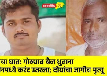 विजेचा घात: गोठ्यात बैल धुताना मशीनमध्ये करंट उतरला; दोघांचा जागीच मृत्यू