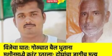 विजेचा घात: गोठ्यात बैल धुताना मशीनमध्ये करंट उतरला; दोघांचा जागीच मृत्यू