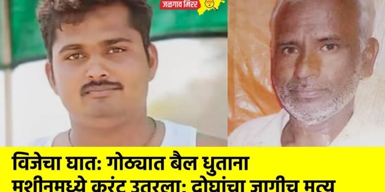 विजेचा घात: गोठ्यात बैल धुताना मशीनमध्ये करंट उतरला; दोघांचा जागीच मृत्यू