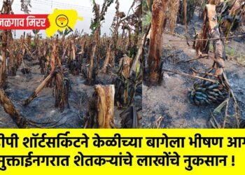 डीपी शॉर्टसर्किटने केळीच्या बागेला भीषण आग; मुक्ताईनगरात शेतकऱ्यांचे लाखोंचे नुकसान !