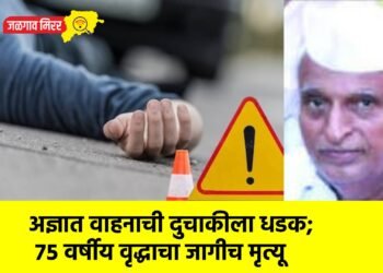 अज्ञात वाहनाची दुचाकीला धडक; ७५ वर्षीय वृद्धाचा जागीच मृत्यू