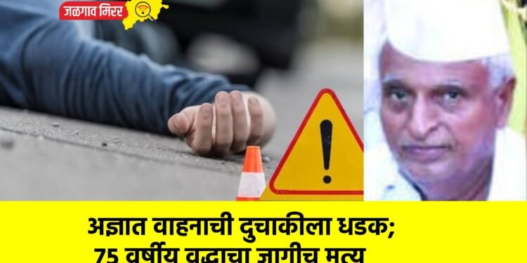 अज्ञात वाहनाची दुचाकीला धडक; ७५ वर्षीय वृद्धाचा जागीच मृत्यू