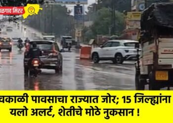 अवकाळी पावसाचा राज्यात जोर; 15 जिल्ह्यांना यलो अलर्ट, शेतीचे मोठे नुकसान !
