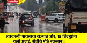 अवकाळी पावसाचा राज्यात जोर; 15 जिल्ह्यांना यलो अलर्ट, शेतीचे मोठे नुकसान !