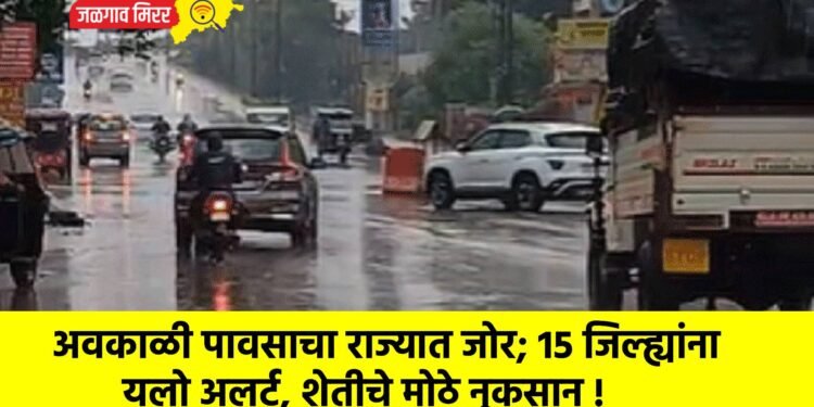 अवकाळी पावसाचा राज्यात जोर; 15 जिल्ह्यांना यलो अलर्ट, शेतीचे मोठे नुकसान !
