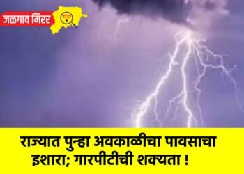 राज्यात पुन्हा अवकाळीचा पावसाचा इशारा; गारपीटीची शक्यता !