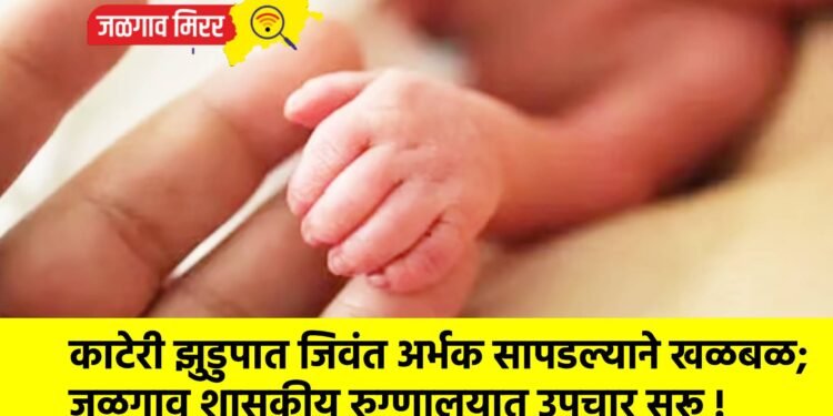 काटेरी झुडुपात जिवंत अर्भक सापडल्याने खळबळ; जळगाव शासकीय रुग्णालयात उपचार सुरू !