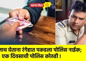 लाच घेताना रंगेहात पकडला पोलिस नाईक; एक दिवसाची पोलिस कोठडी !