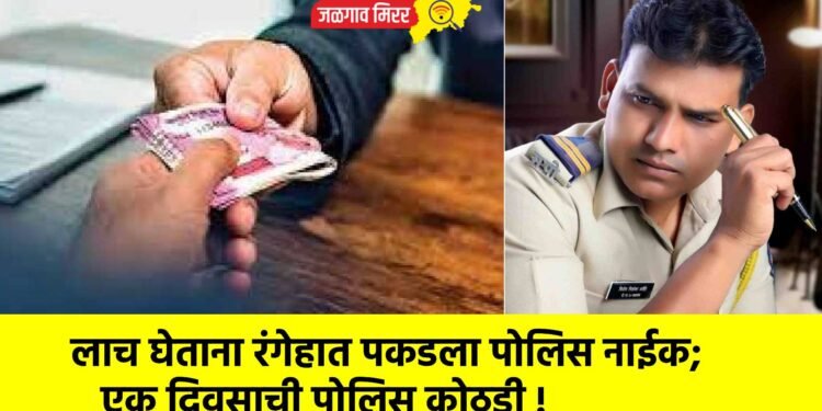 लाच घेताना रंगेहात पकडला पोलिस नाईक; एक दिवसाची पोलिस कोठडी !