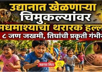 उद्यानात खेळणाऱ्या चिमुकल्यांवर मधमाश्यांचा थरारक हल्ला; ८ जण जखमी, तिघांची प्रकृती गंभीर!