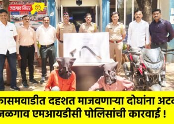 कासमवाडीत दहशत माजवणाऱ्या दोघांना अटक; जळगाव एमआयडीसी पोलिसांची कारवाई !