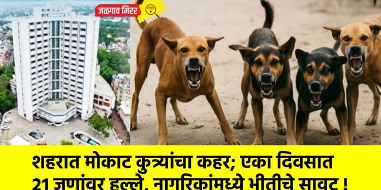 शहरात मोकाट कुत्र्यांचा कहर; एका दिवसात २१ जणांवर हल्ले, नागरिकांमध्ये भीतीचे सावट !