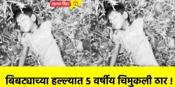 बिबट्याच्या हल्ल्यात ५ वर्षीय चिमुकली ठार !
